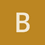 Bolus
