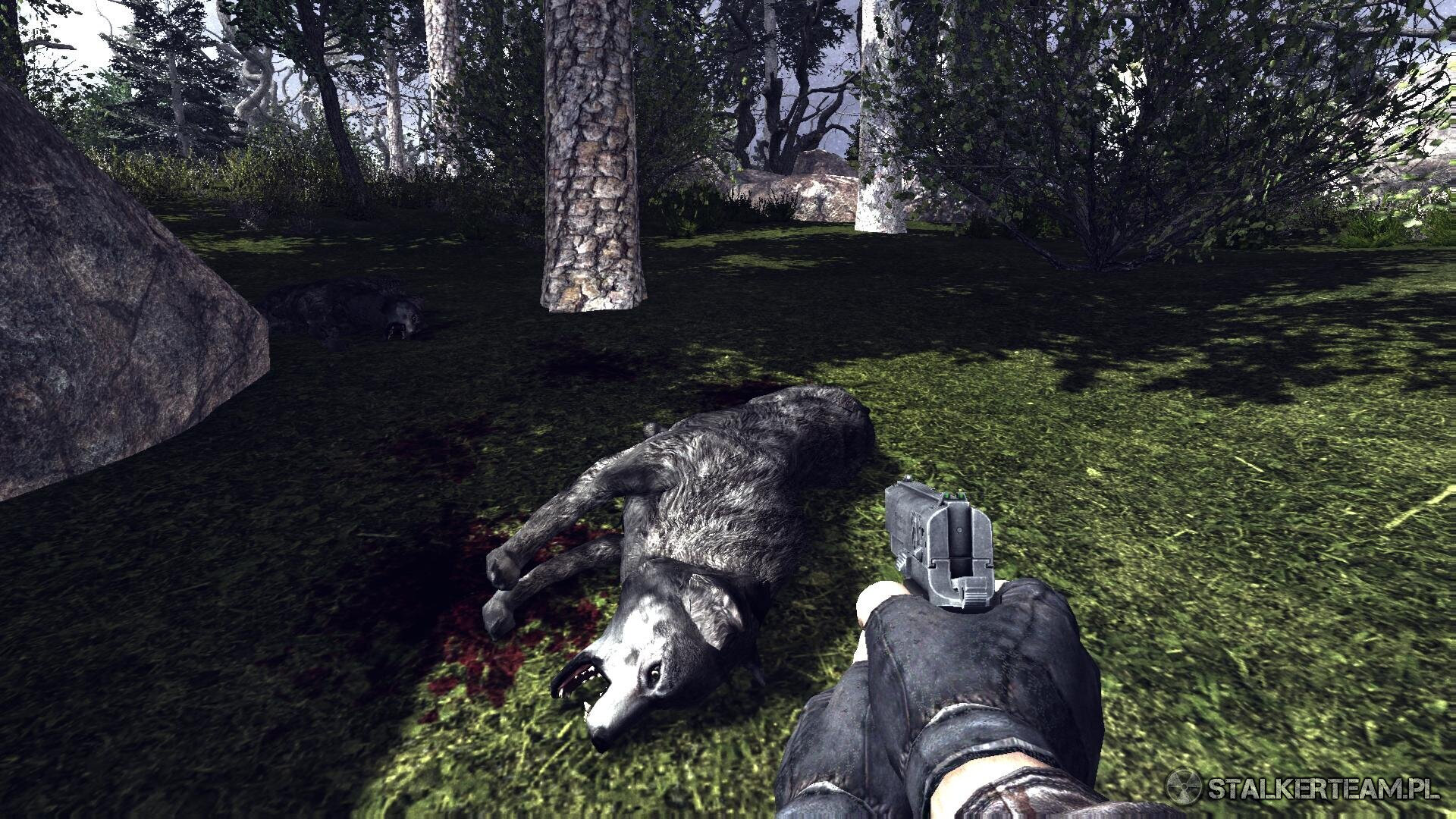 F.M.stalkerteamscr1.jpg.e47fe7e0e64e35a3714562c7345d84b1.jpg