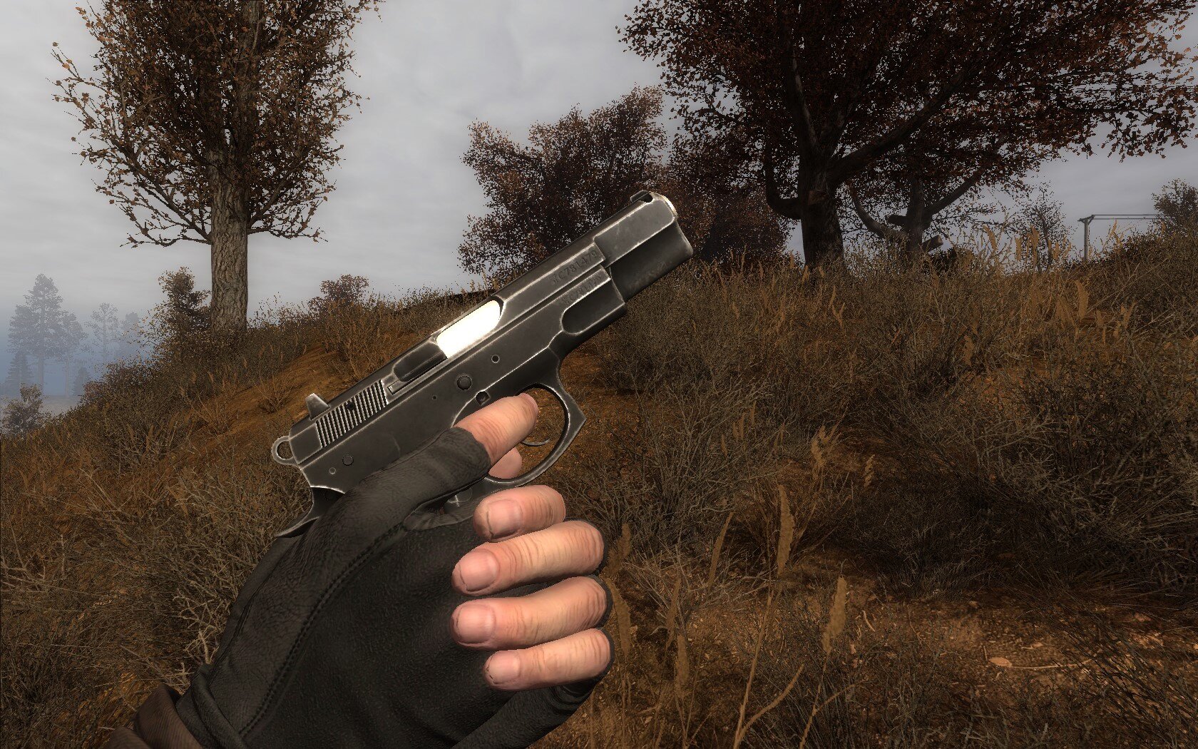 CZ-751.jpg.8dc5dc9e2cf6594e082330461d7d8216.jpg