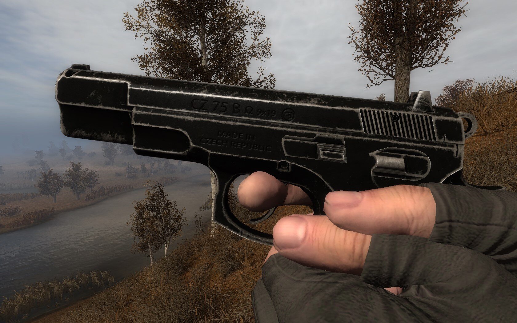 CZ-753.jpg.0754ed50aa58d5bd680aebb06a84e2d5.jpg