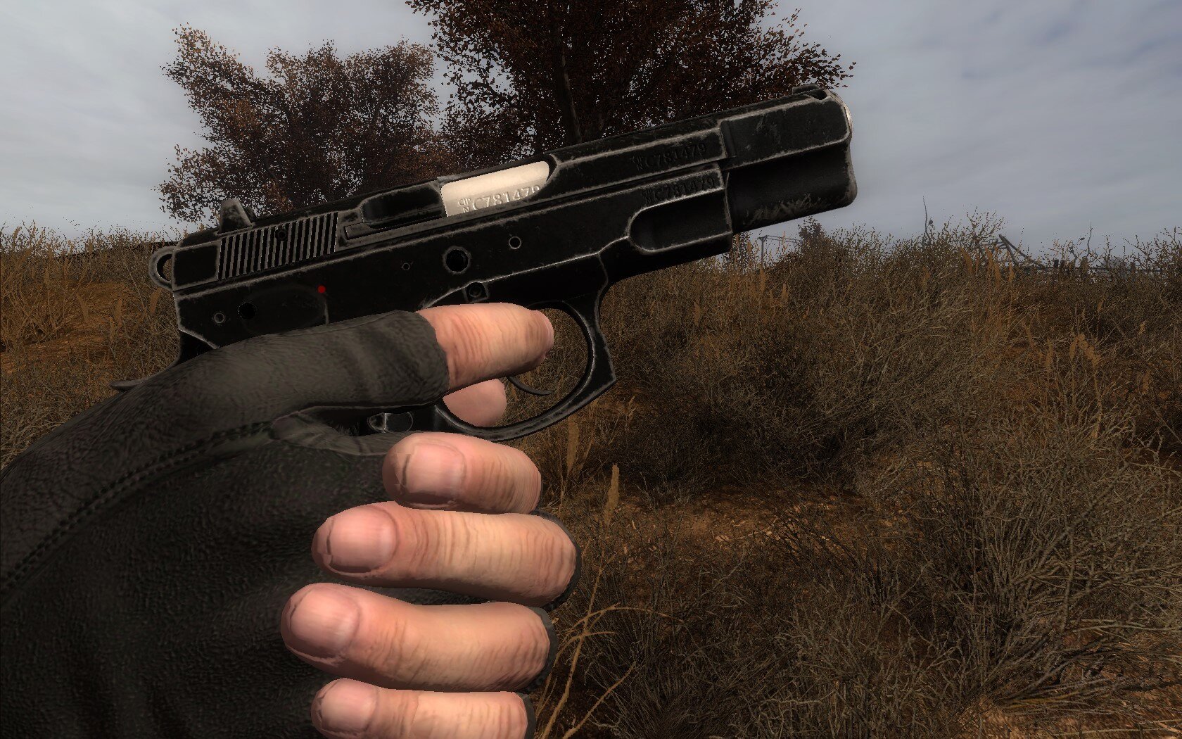 CZ-754.jpg.d991ddee801522ce87957c3b85282cb6.jpg